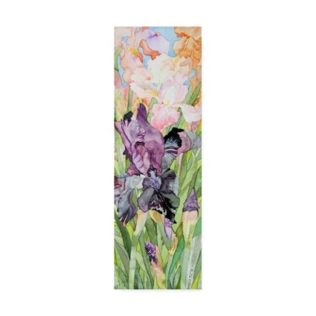 Trademark Fine Art Sharon Pitts 'Black Iris Colors' Canvas Art, 8x24 ALI43746-C824GG
